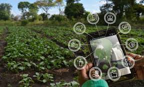 AI in Agriculture: Beyond the Hype